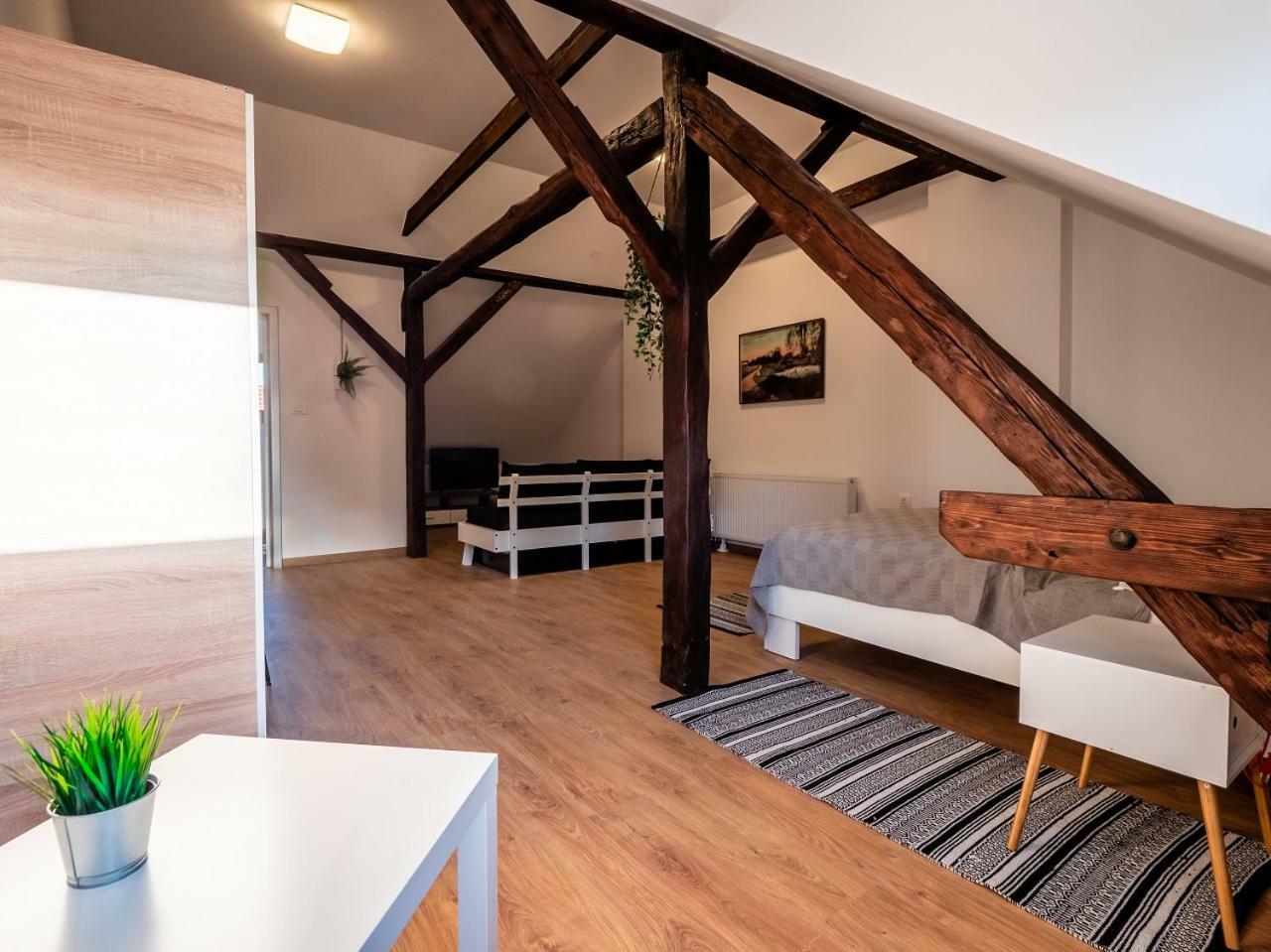 Eva Rooms & Studio Apartment Karlovac Exterior foto